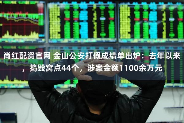 尚红配资官网 金山公安打假成绩单出炉：去年以来，捣毁窝点44个，涉案金额1100余万元