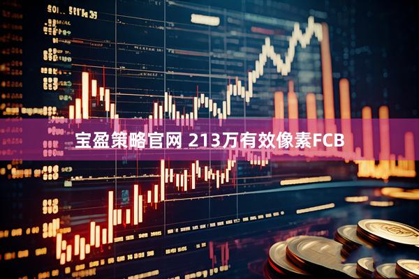 宝盈策略官网 213万有效像素FCB