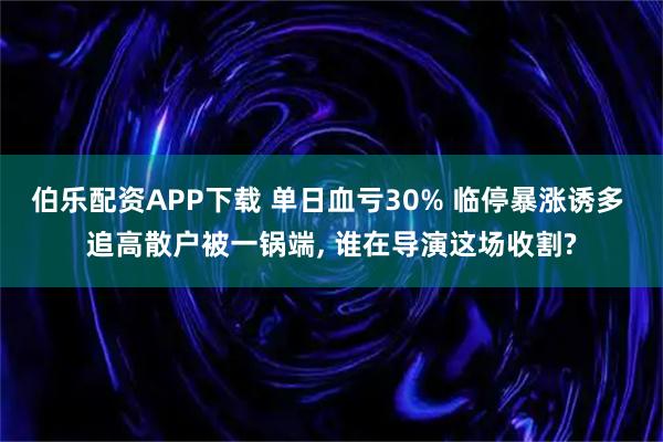 伯乐配资APP下载 单日血亏30% 临停暴涨诱多 追高散户被一锅端, 谁在导演这场收割?