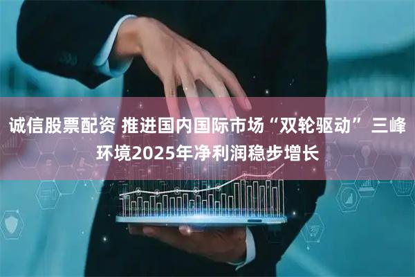 诚信股票配资 推进国内国际市场“双轮驱动” 三峰环境2025年净利润稳步增长